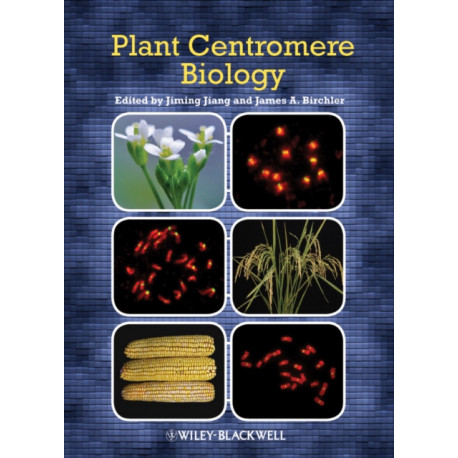 Plant Centromere Biology