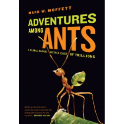 Adventures among Ants: A Global Safari with a Cast of Trillions