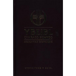 Y Beibl Cymraeg Newydd