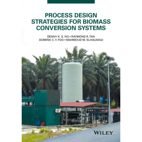 Process Design Strategies for Biomass Conversion Systems