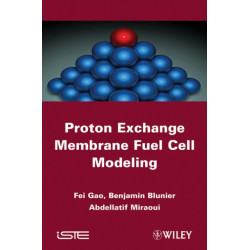 Proton Exchange Membrane Fuel Cells Modeling