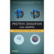 Protein Oxidation and Aging