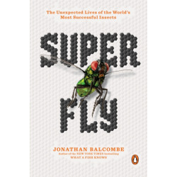 Super Fly: The Unexpected Lives of the World's Most Successful Insects