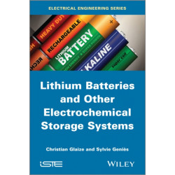 Lithium Batteries and other Electrochemical Storage Systems