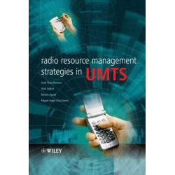 Radio Resource Management Strategies in UMTS