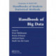 Handbook of Big Data