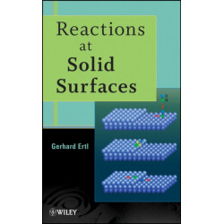 Reactions at Solid Surfaces