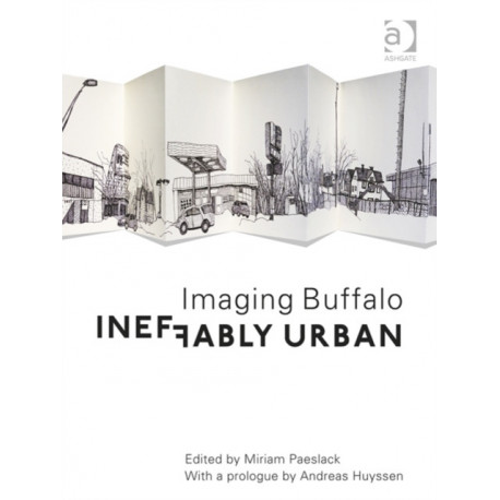 Ineffably Urban: Imaging Buffalo