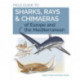 Field Guide to Sharks, Rays & Chimaeras of Europe and the Mediterranean