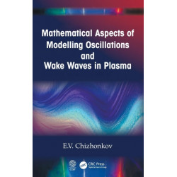 Mathematical Aspects of Modelling Oscillations and Wake Waves in Plasma