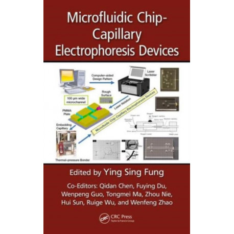Microfluidic Chip-Capillary Electrophoresis Devices