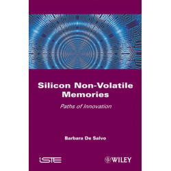 Silicon Non-Volatile Memories: Paths of Innovation