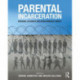 Parental Incarceration: Personal Accounts and Developmental Impact