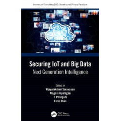 Securing IoT and Big Data: Next Generation Intelligence