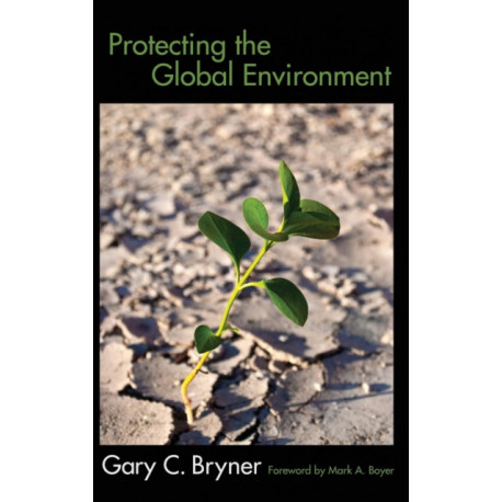 Protecting the Global Environment