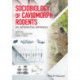Sociobiology of Caviomorph Rodents: An Integrative Approach