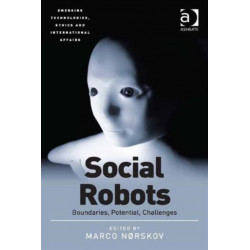 Social Robots: Boundaries, Potential, Challenges
