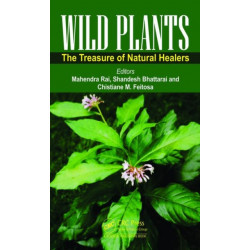 Wild Plants: The Treasure of Natural Healers