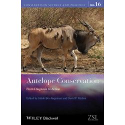 Antelope Conservation: From Diagnosis to Action