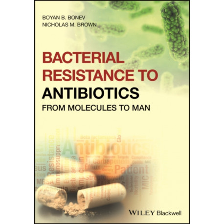 Bacterial Resistance to Antibiotics: From Molecules to Man