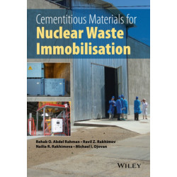 Cementitious Materials for Nuclear Waste Immobilization