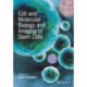 Cell and Molecular Biology and Imaging of Stem Cells