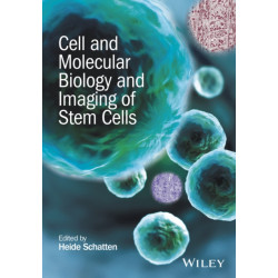 Cell and Molecular Biology and Imaging of Stem Cells