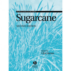 Sugarcane
