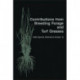 Contributions from Breeding Forage and Turf Grasses