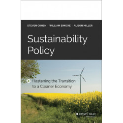 Sustainability Policy: Hastening the Transition to a Cleaner Economy