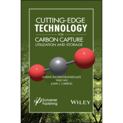 Cutting-Edge Technology for Carbon Capture, Utilization, and Storage