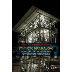 Synthetic Natural Gas: From Coal, Dry Biomass, and Power-to-Gas Applications
