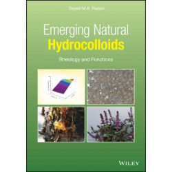 Emerging Natural Hydrocolloids: Rheology and Functions