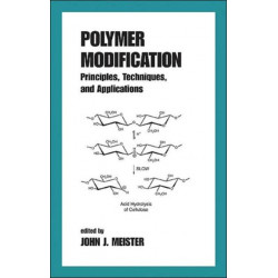 Polymer Modification: Principles, Techniques, and Applications