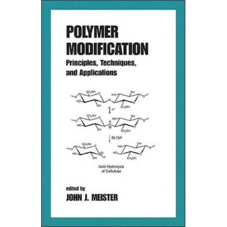Polymer Modification: Principles, Techniques, and Applications