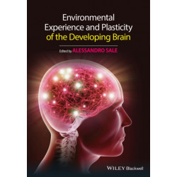 Environmental Experience and Plasticity of the Developing Brain