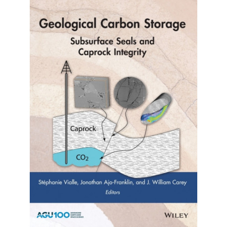 Geological Carbon Storage: Subsurface Seals and Caprock Integrity