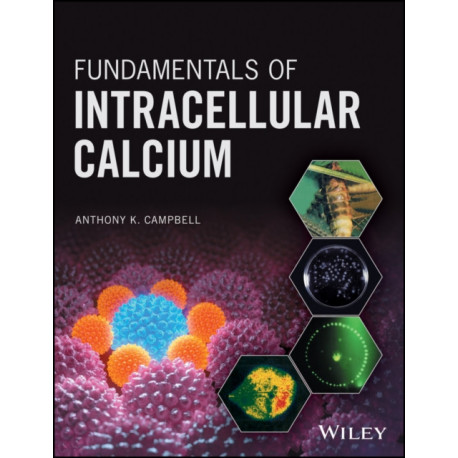 Fundamentals of Intracellular Calcium