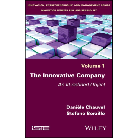 The Innovative Company: An Ill-defined Object