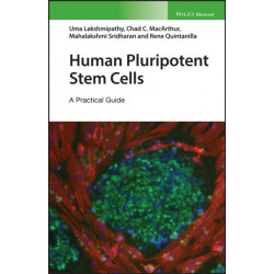 Human Pluripotent Stem Cells: A Practical Guide