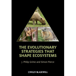 The Evolutionary Strategies that Shape Ecosystems