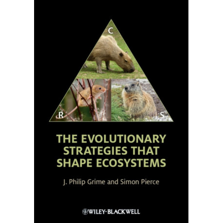 The Evolutionary Strategies that Shape Ecosystems
