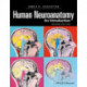 Human Neuroanatomy
