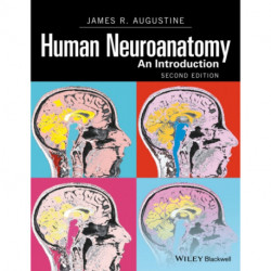 Human Neuroanatomy