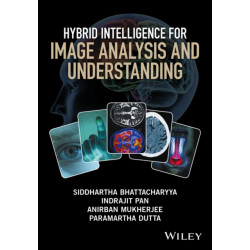 Hybrid Intelligence for Image Analysis and Understanding