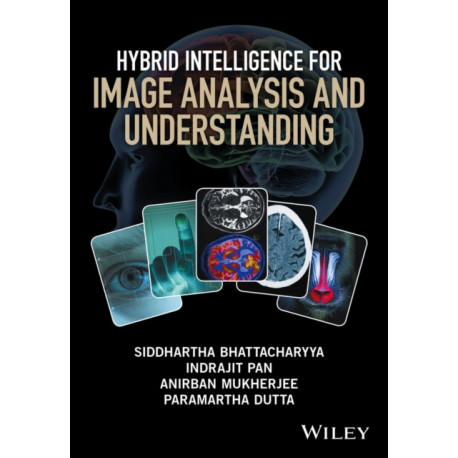 Hybrid Intelligence for Image Analysis and Understanding