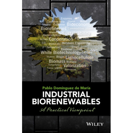 Industrial Biorenewables: A Practical Viewpoint