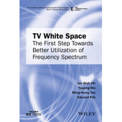 TV White Space: The First Step Towards Better Utilization of Frequency Spectrum
