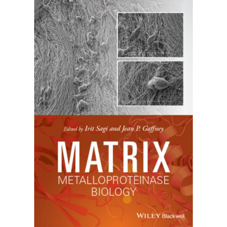 Matrix Metalloproteinase Biology