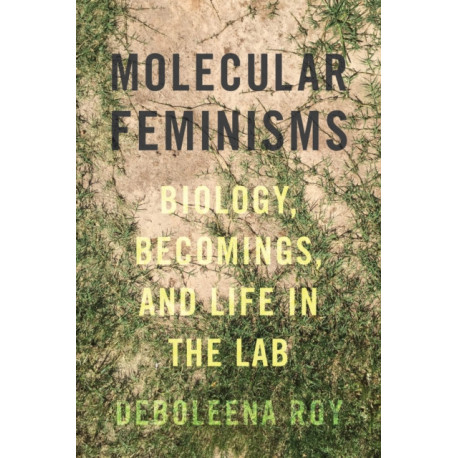 Molecular Feminisms: Biology, Becomings, and Life in the Lab